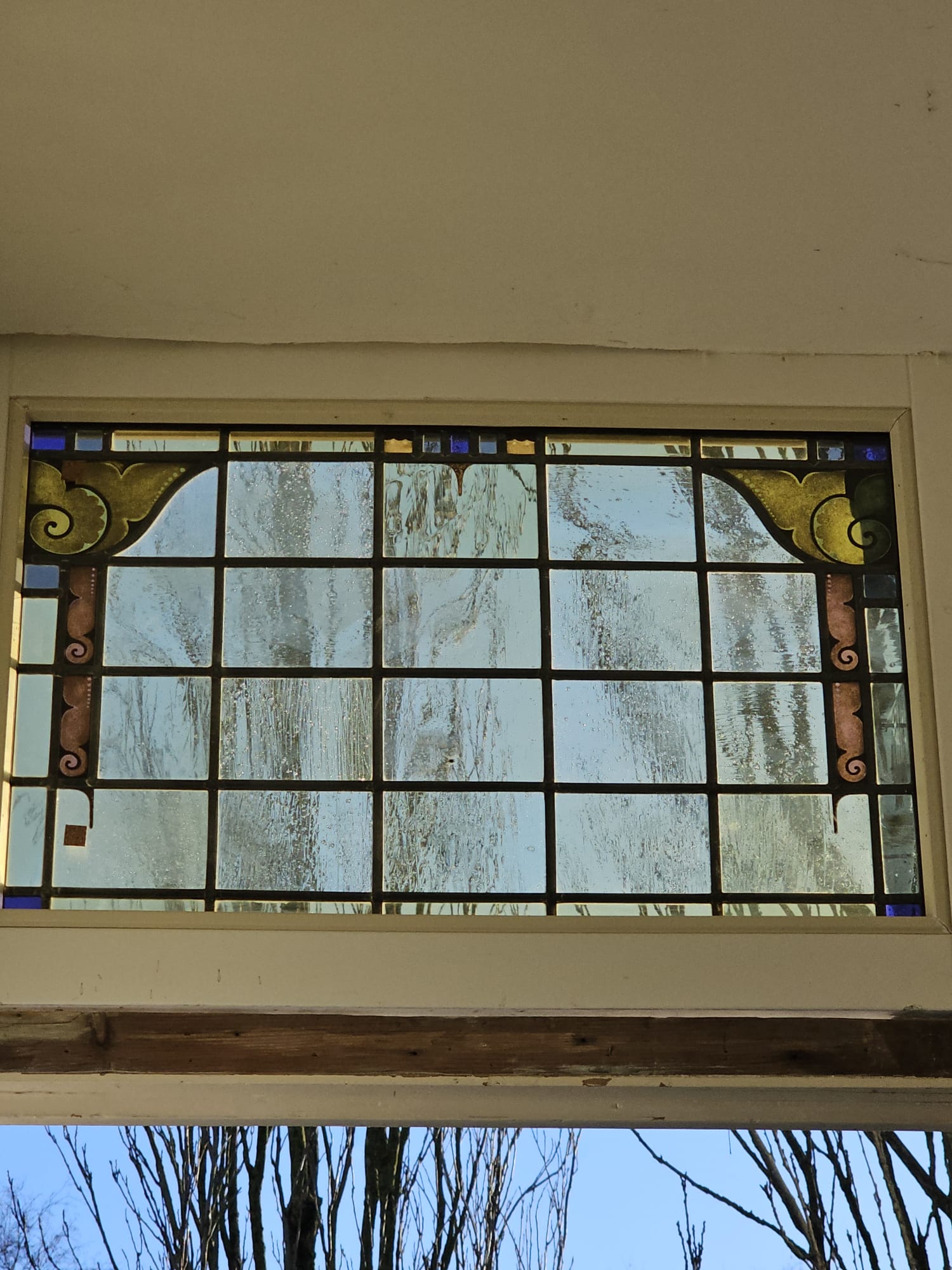 WhatsApp Image 2025-07-31 at 19.54.44