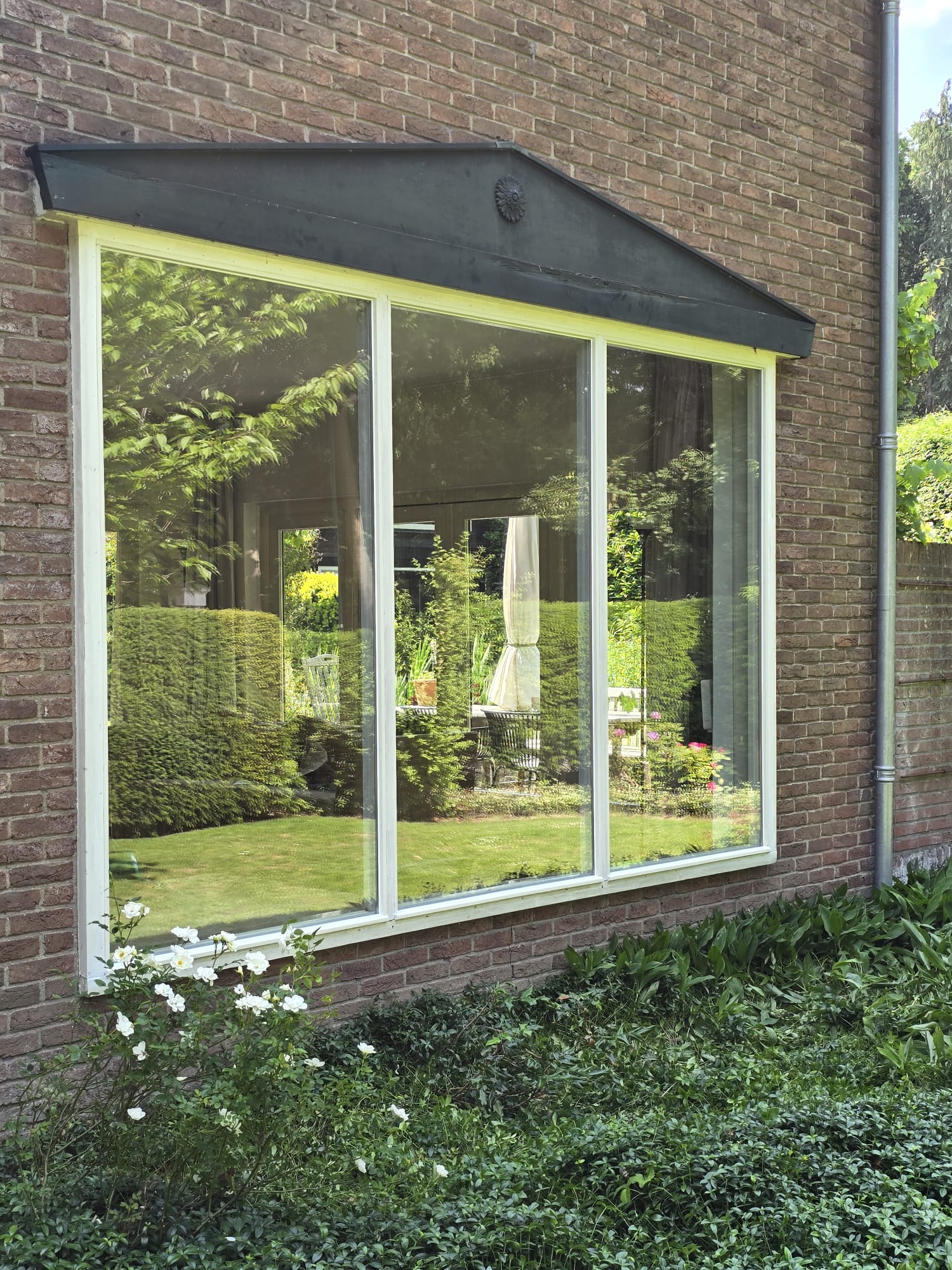 WhatsApp Image 2025-07-31 at 20.04.53 (1)