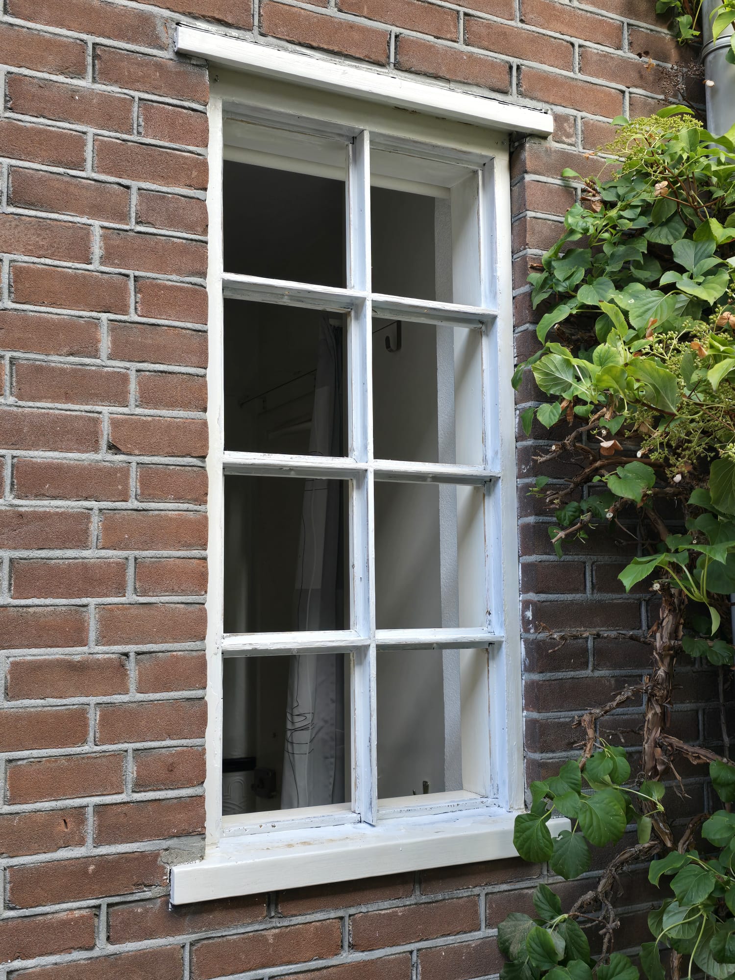 WhatsApp Image 2025-07-31 at 20.04.54 (10)