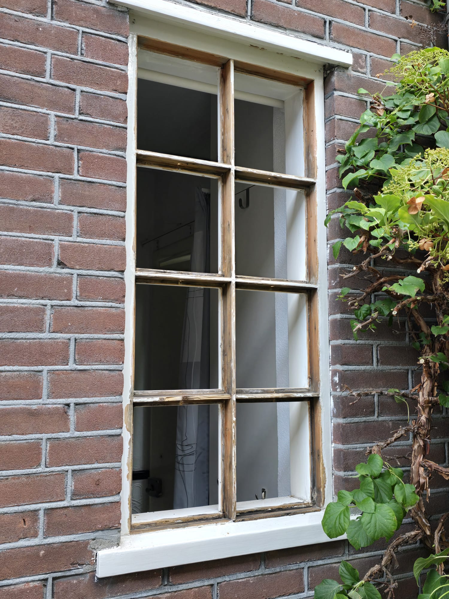 WhatsApp Image 2025-07-31 at 20.04.54 (11)