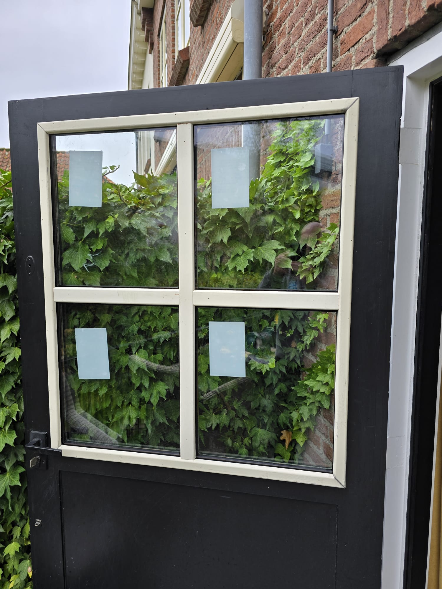 WhatsApp Image 2025-07-31 at 20.04.54 (6)