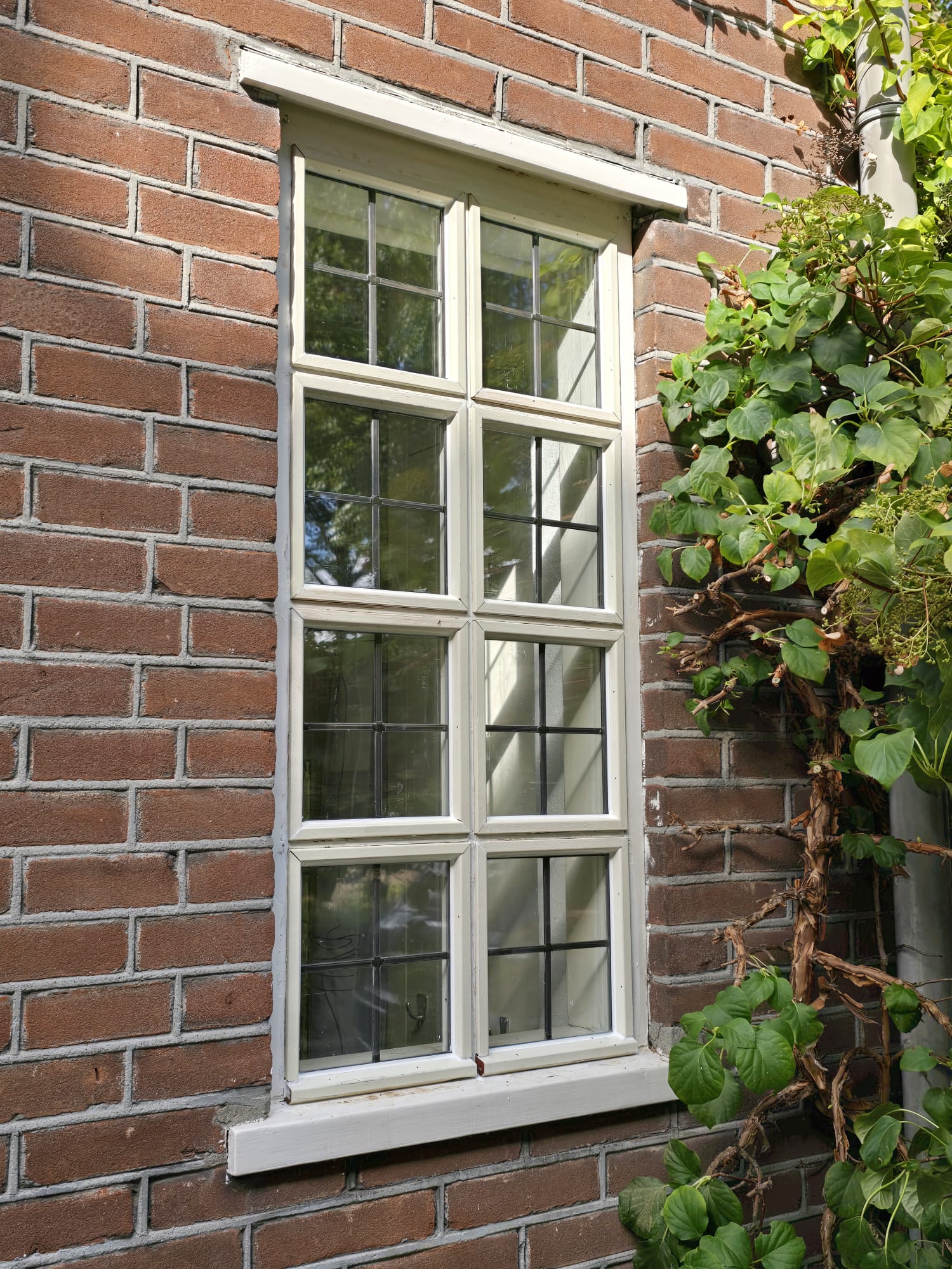 WhatsApp Image 2025-07-31 at 20.04.54 (9)